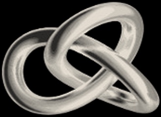 Evernet